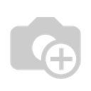 ALLPONY LLC
